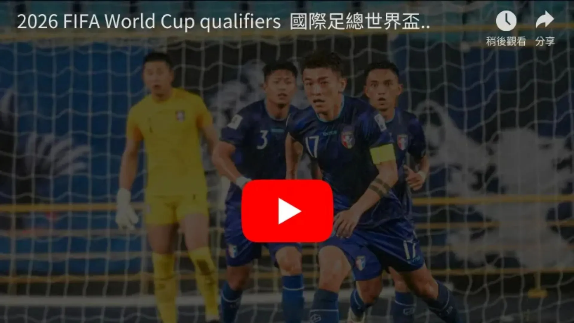 河南女排迎,关键力量,蔡晓晴担纲,J9九游会,j9九游会,九游会平台,j9九游会官方网站,9GAMES